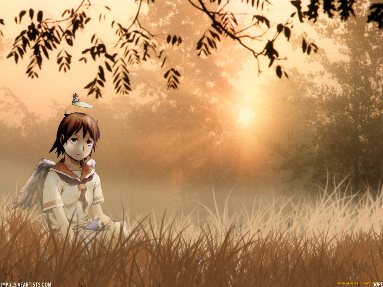 , haibane, renmei